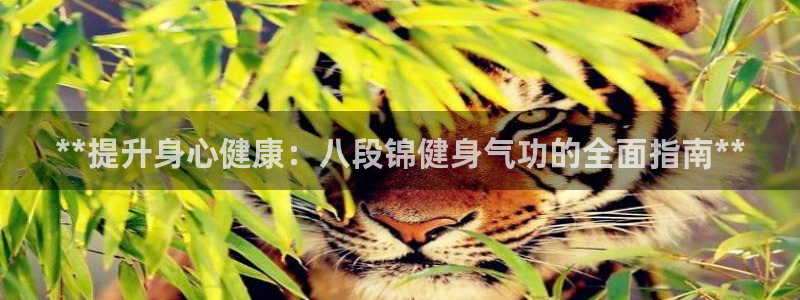 龙8国际官方网页