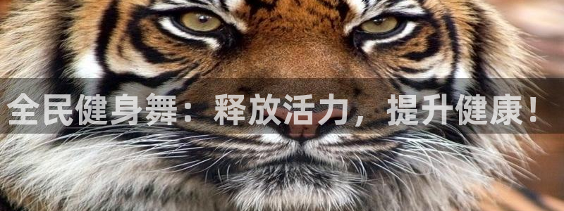 龙八国际城