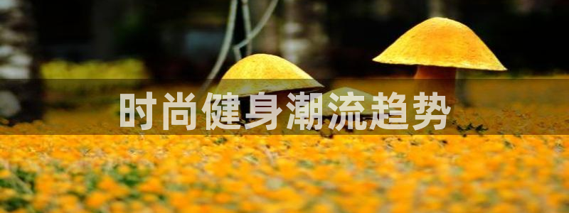 龙8国际平台