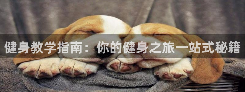 龙8国际平台提款被黑