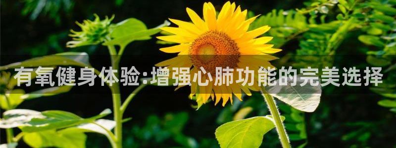 龙八国际2018最新官网