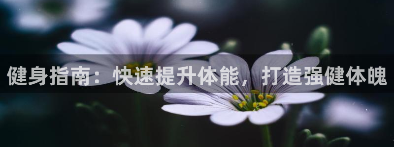 龙8国际官网官方版fxzls天地手游 -kc -安卓