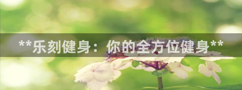 龙8国际2023官方版fxzls安卓-1.2.9 -安卓
