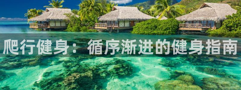 龙8国际黑吗
