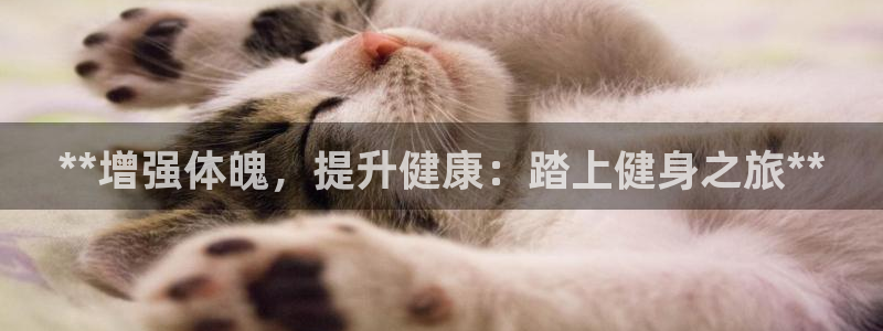 龙8游戏官方进入