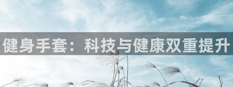 龙8官网正版