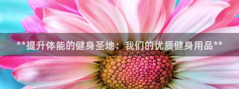 龙8国际城