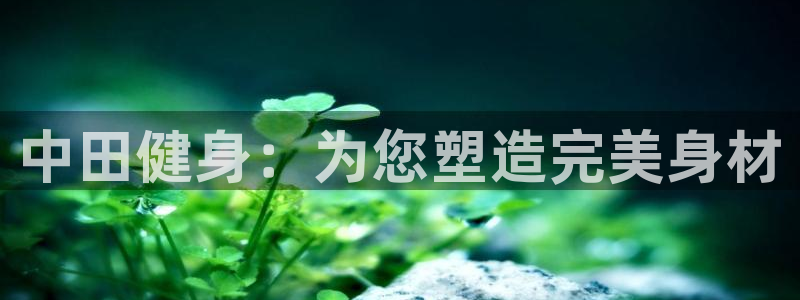 龙8国际棋牌