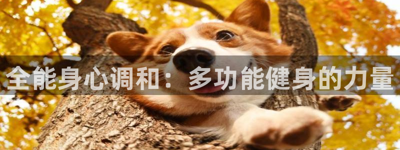 龙8国际的漏洞