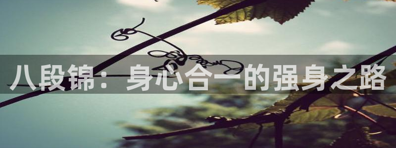 龙8国际网址多少