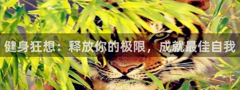 龙8游戏官方进入