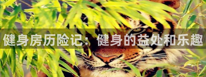 龙8国际老虎机娱乐