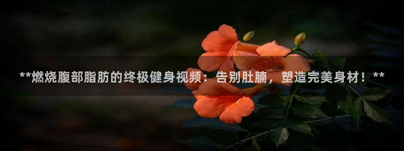 龙8国际官网娱乐