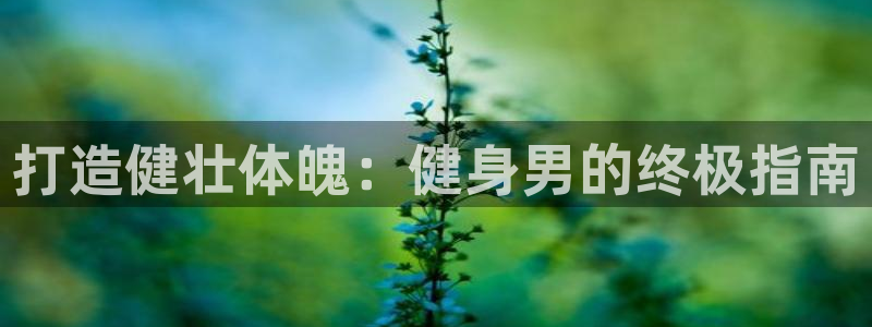 龙8手机游戏官网