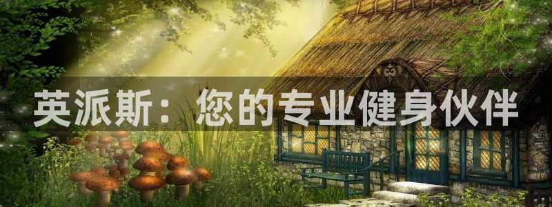 龙 八国际