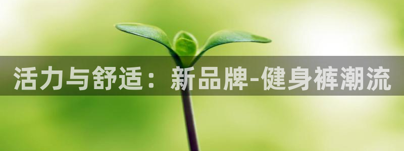 龙8官网在线试玩
