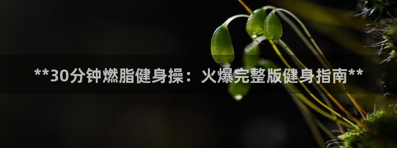 龙8国际官方网址