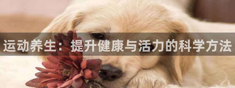 开户送88元体验金网站