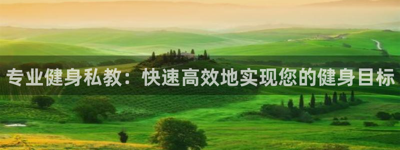 龙八国际pt