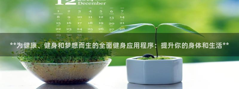 龙8国际电子平台
