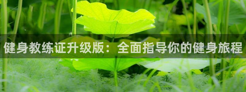 龙8国际游戏