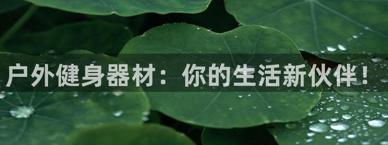 龙8国际long88(中国)官方网站