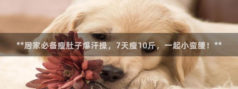 龙8国际免费试玩