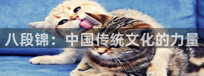 龙8国际手机版下载