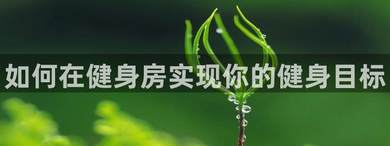 龙8国际2020官方网站