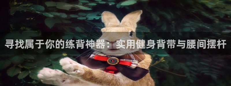 龙8国际登陆