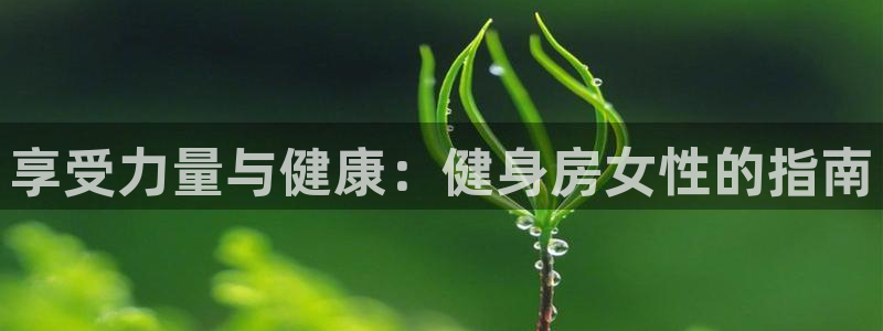 龙八国际手机客户端