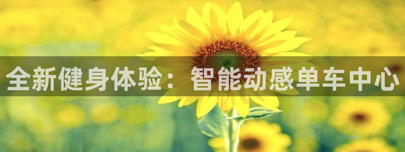 龙8国际官方网页