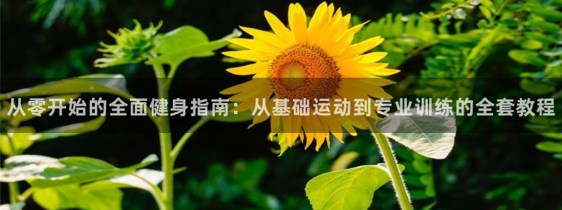 龙8国际平台输了多少