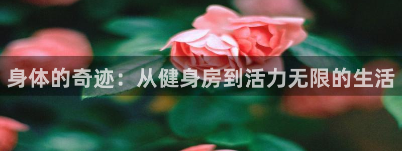 龙8国际现金