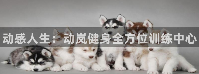 龙8国际平台官网