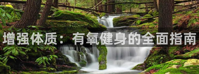 龙8国际游戏公司官网