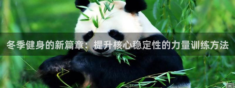 国际龙8hk