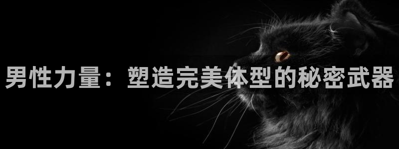 龙8国际官方网站龙8国际pt老虎机