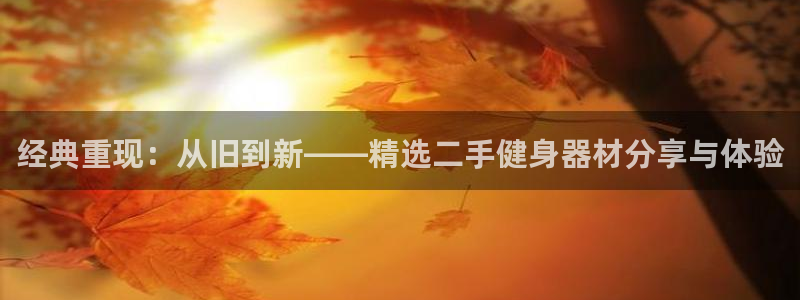 龙8游戏官方进入
