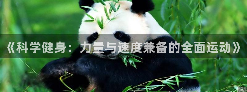 龙八国际下载官网平台