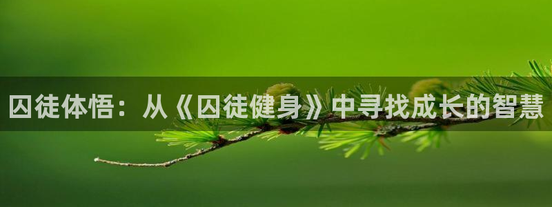 龙8国际官网 点此进入