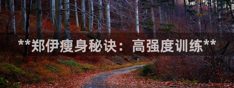 龙8国际手机版官网下载