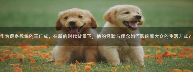 龙8国际网站是多少