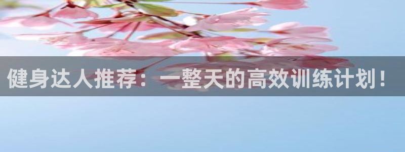 龙8国际头号玩家下载