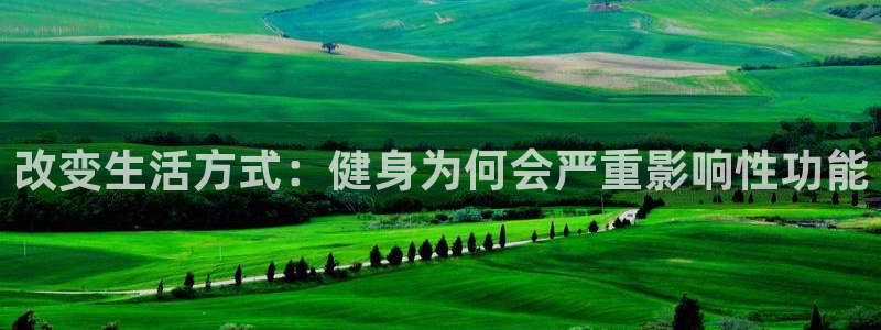 龙八国际服官网入口