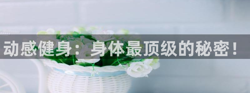 龙8国际2021年4.15更新版baoli