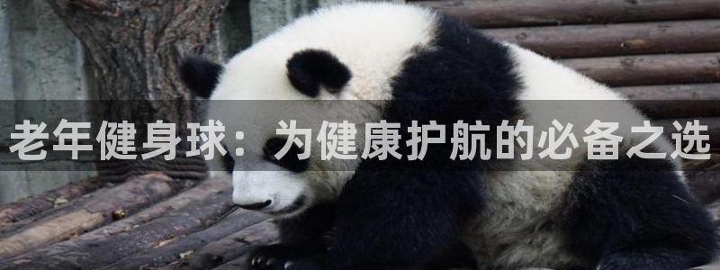 龙8国际为啥改名叫头号玩家了呢