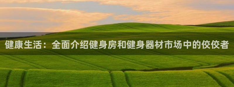 龙8国际中国官方网站