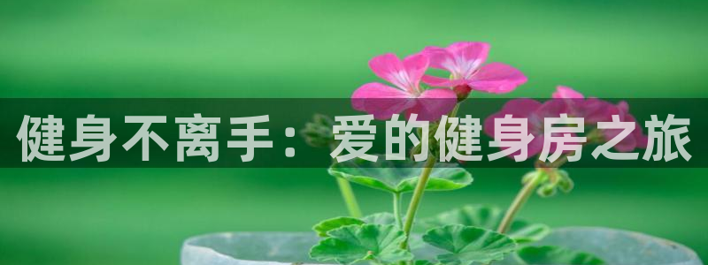 龙8国际官网多少